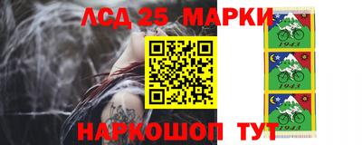 Альфа ПВП Беслан