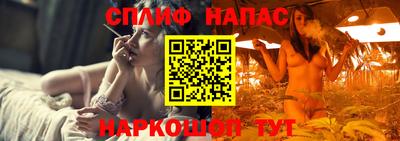 Альфа ПВП Беслан