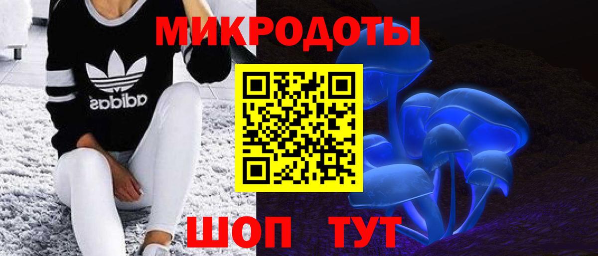Псилоцибиновые грибы Psilocybine cubensis Киселёвск